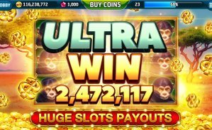topxbet