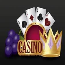 topxbet